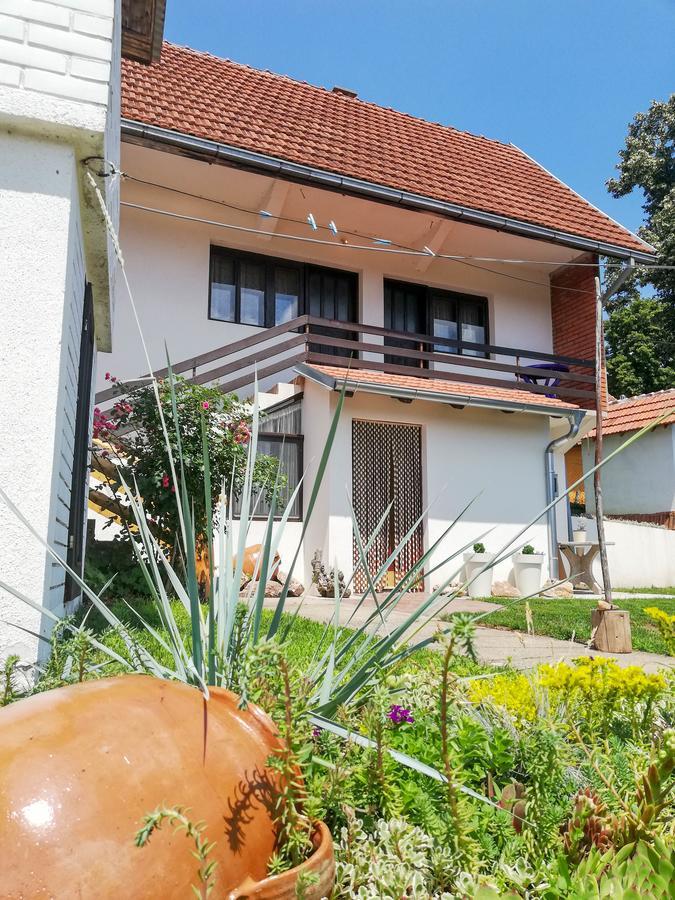 Rtanjski Konak Boljevac Dış mekan fotoğraf